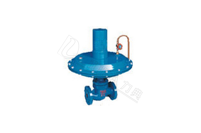 自力式差(微)压力调节阀 LDVP